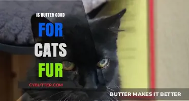 Is Butter Good for Cats' Fur? Uncovering the Truth