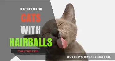 Butter for Cats: A Hairball Remedy or Risky Choice?
