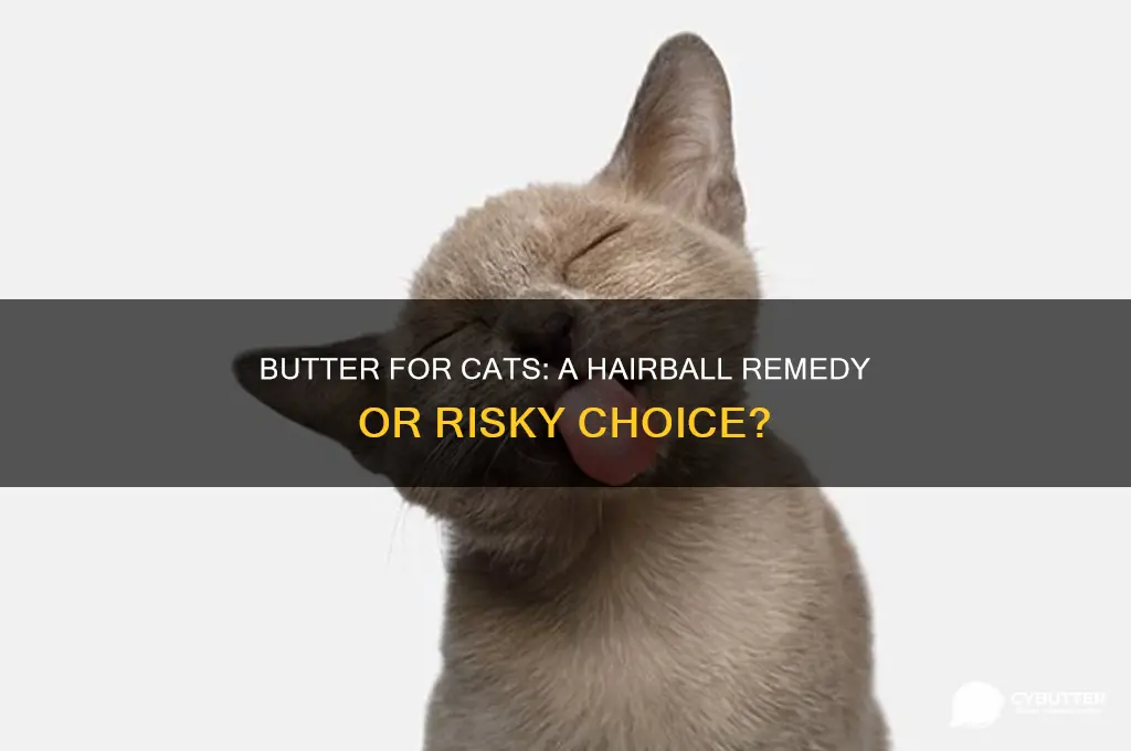 is butter good for cats with hairballs