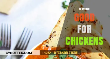 Butter for Chickens: Benefits, Risks, and Healthy Feeding Tips