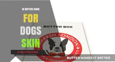 Butter for Dogs: Skin Benefits or Risky Treat?