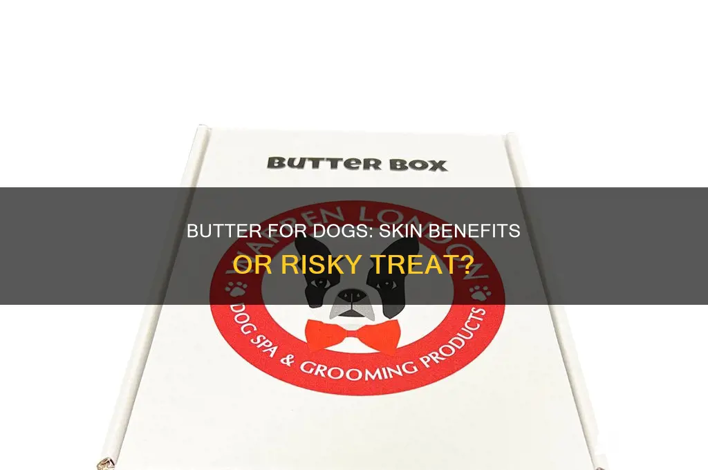 is butter good for dogs skin