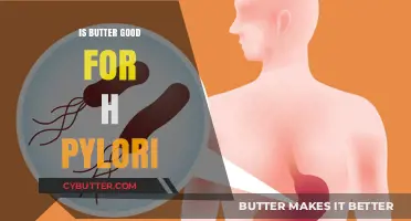 Butter and H. Pylori: Debunking Myths and Exploring Dietary Impacts