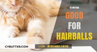 Butter for Hairballs: Effective Remedy or Myth?