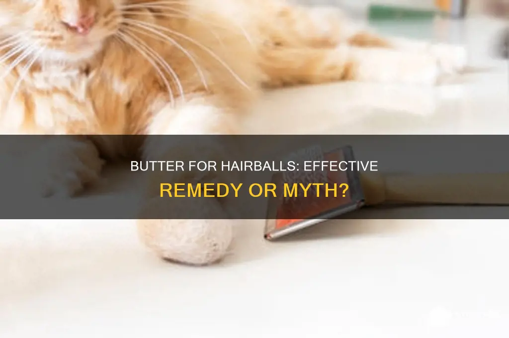 is butter good for hairballs