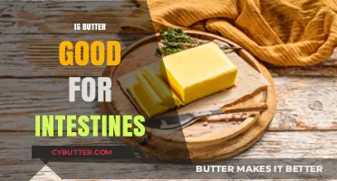 Butter and Gut Health: Benefits or Harm for Your Intestines?