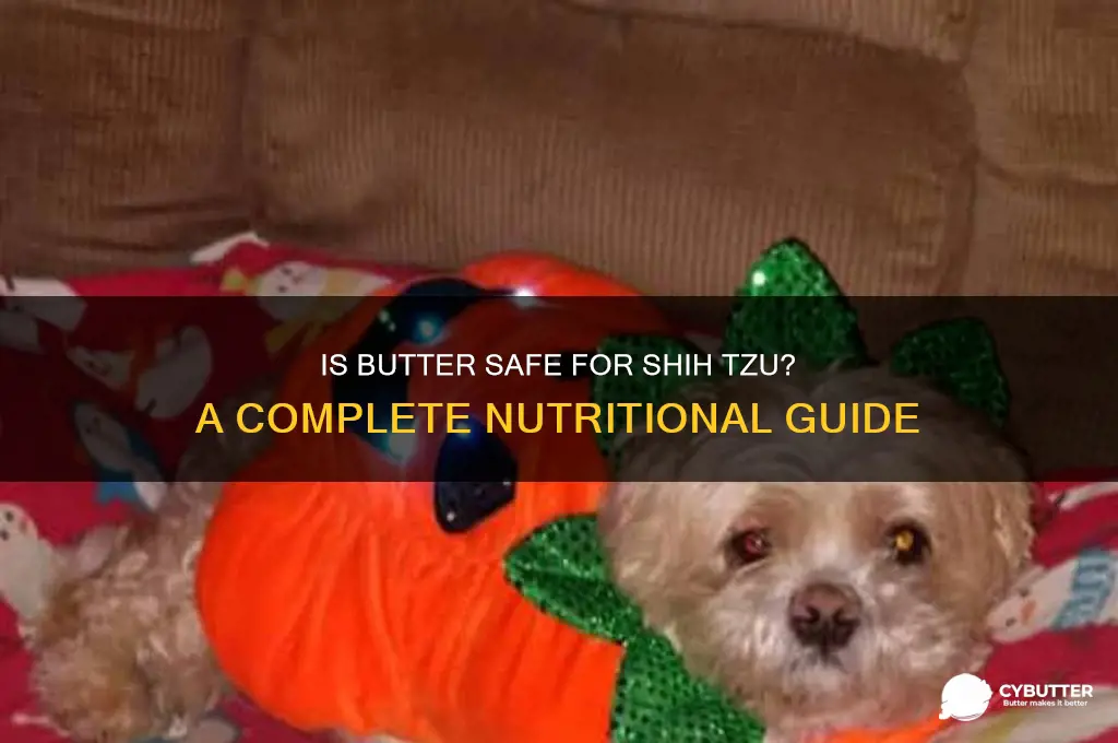 is butter good for shih tzu