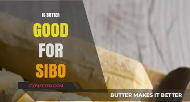 Is Butter Beneficial for SIBO? Exploring Dietary Impacts and Tips