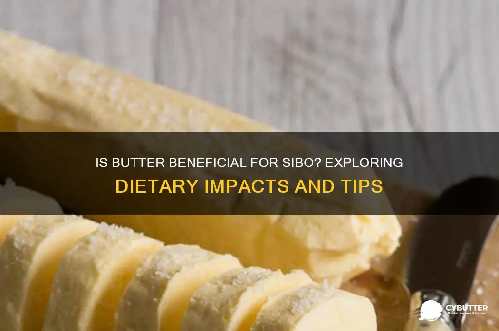 is butter good for sibo