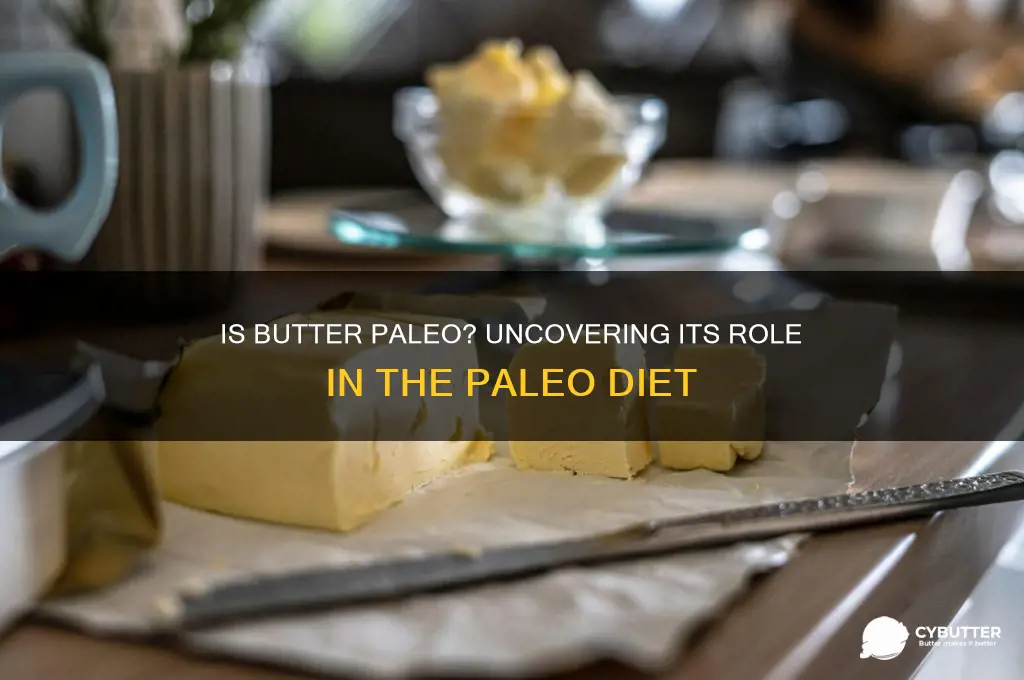 is butter good in paleo diet