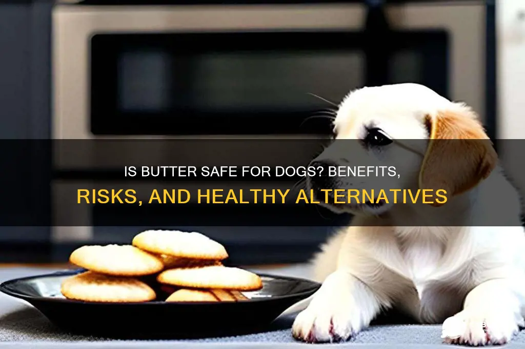 is butter is good for dogs