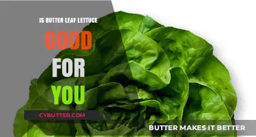 Butter Leaf Lettuce Benefits: Is This Nutritious Green Good for You?