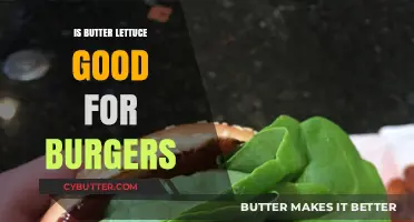 Butter Lettuce on Burgers: A Crisp, Healthy Topping Choice?