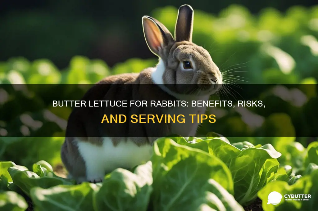 is butter lettuce good for rabbits