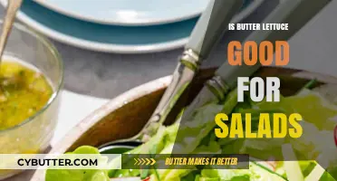 Butter Lettuce in Salads: Benefits, Uses, and Delicious Recipe Ideas