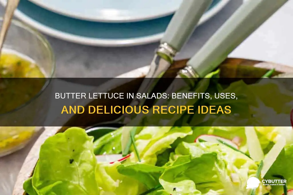 is butter lettuce good for salads