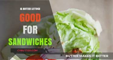 Butter Lettuce in Sandwiches: A Crisp, Healthy, and Tasty Choice?