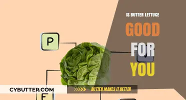 Butter Lettuce Benefits: Is This Leafy Green Good for Your Health?