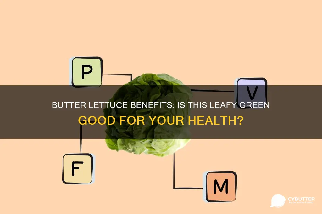 is butter lettuce good for you
