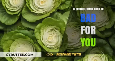 Butter Lettuce: Health Benefits, Nutritional Value, and Potential Concerns