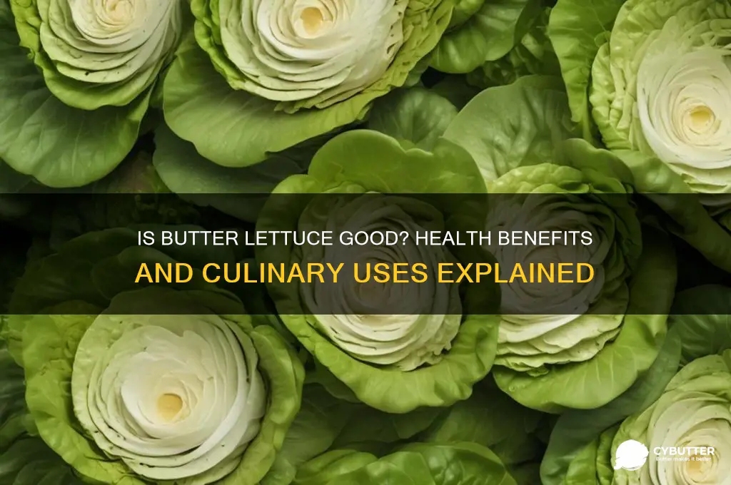 is butter lettuce good