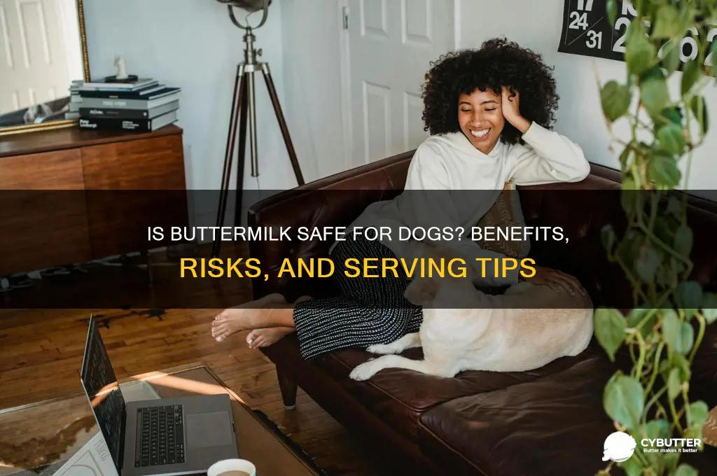 is butter milk good for dogs