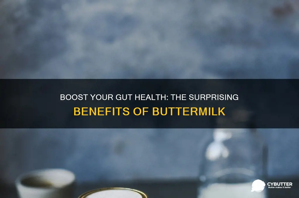 is butter milk good for gut health