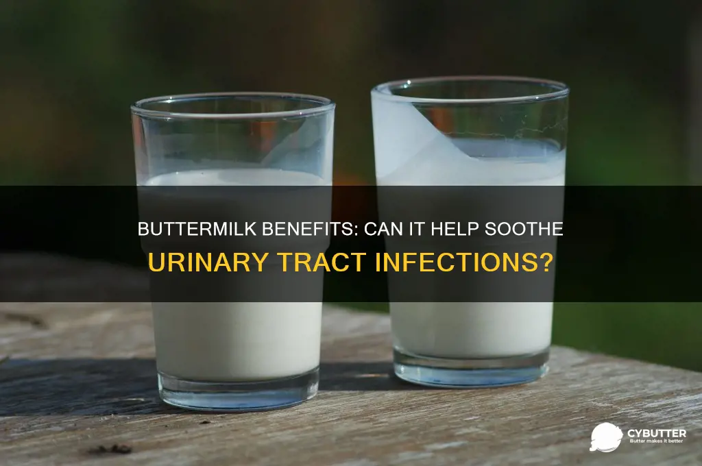 is butter milk good for urinary infection