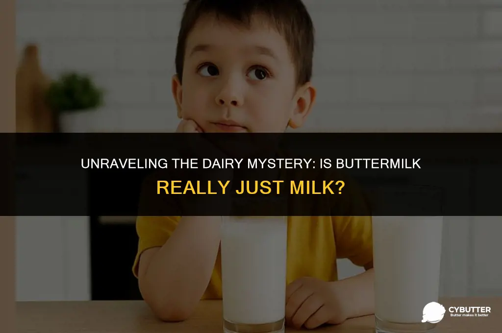 is butter milk the same as milk