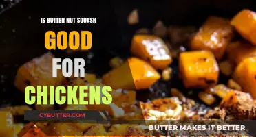 Butter Nut Squash Benefits: A Healthy Treat for Your Chickens?