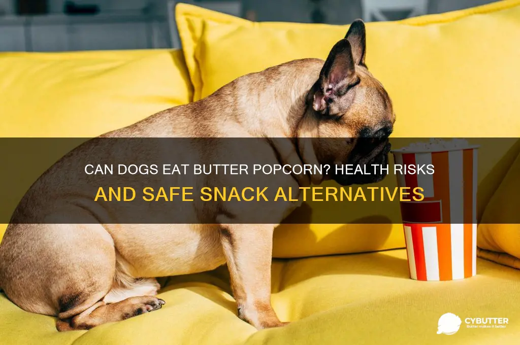 is butter popcorn good for dogs