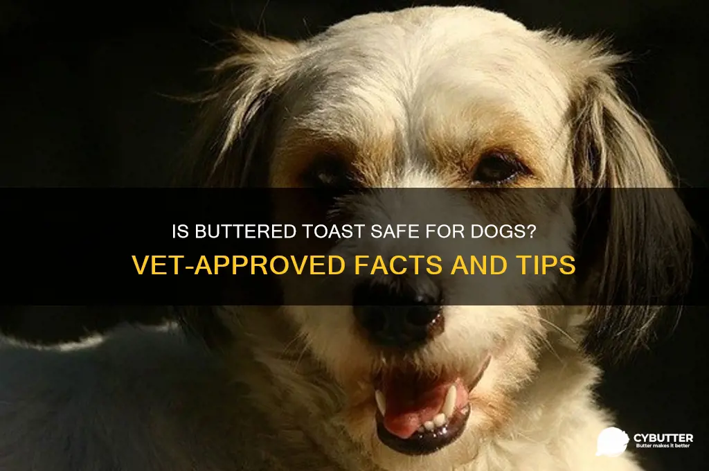 is butter toast good for dogs
