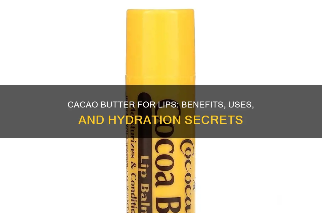 is cacao butter good for lips