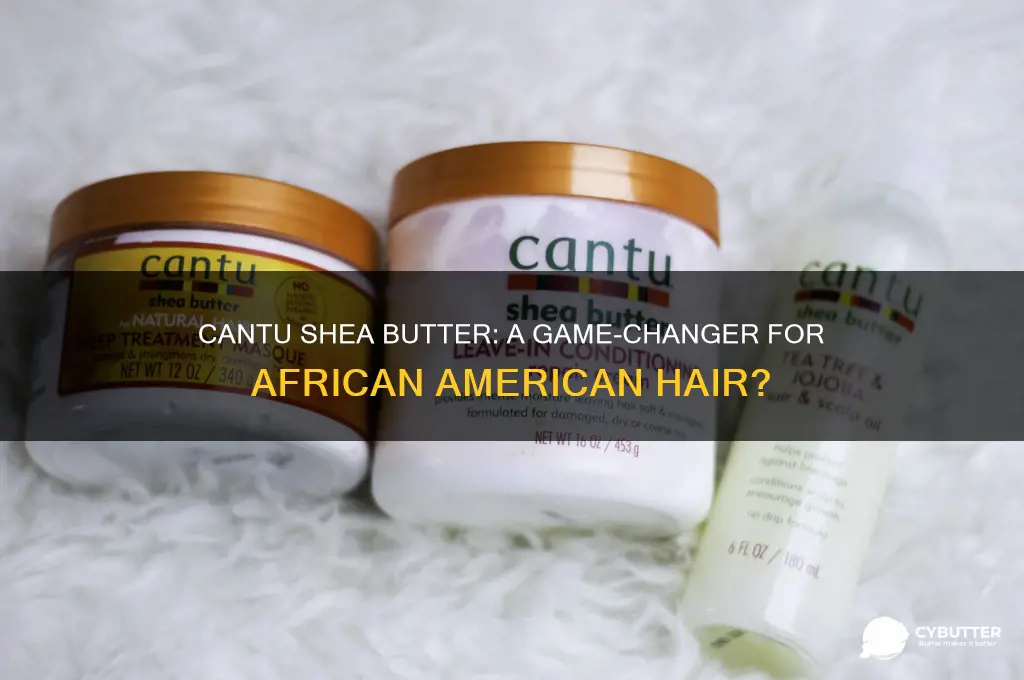is cantu shea butter good for african american hair
