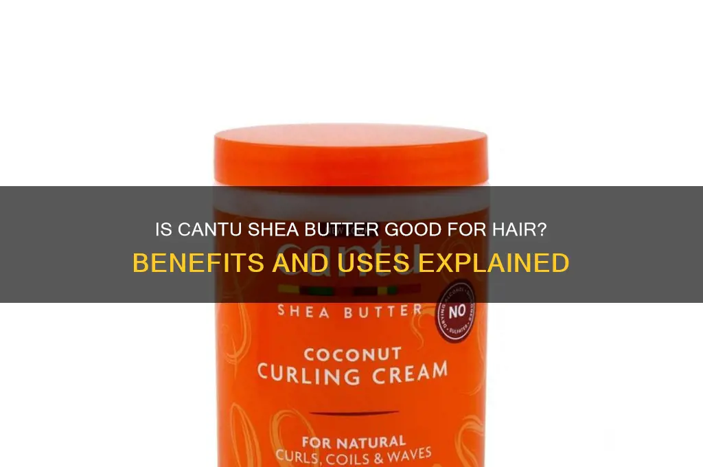 is cantu shea butter good for hair