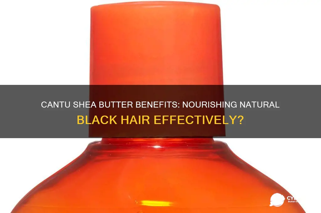 is cantu shea butter good for natural black hair