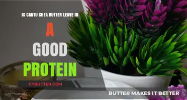 Cantu Shea Butter Leave-In: A Protein-Rich Hair Savior?