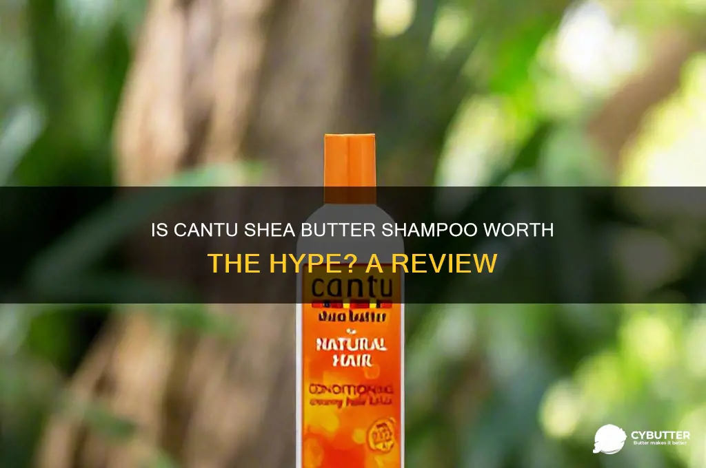 is cantu shea butter shampoo good