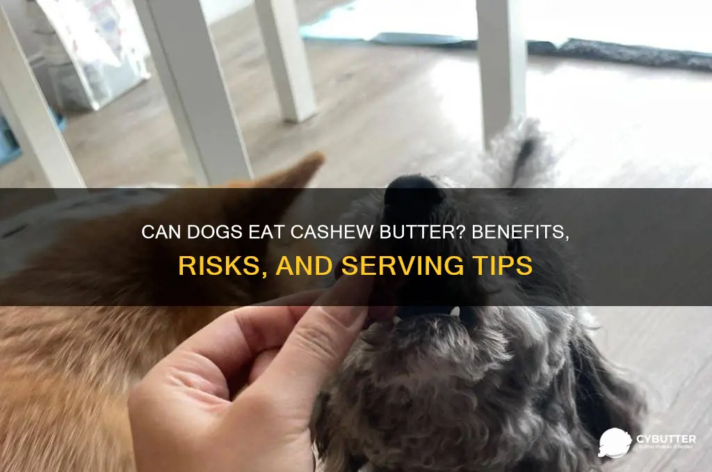 is cashew butter good for dogs