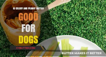 Celery and Peanut Butter: A Healthy Dog Treat or Risk?