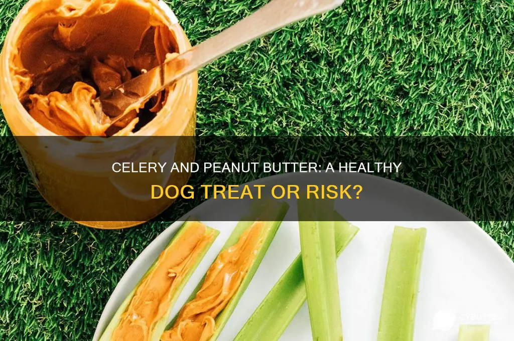 is celery and peanut butter good for dogs