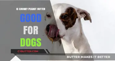 Can Dogs Eat Chunky Peanut Butter? Safety Tips and Benefits