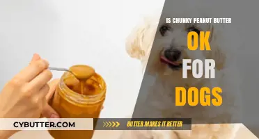Can Dogs Enjoy Chunky Peanut Butter Safely?