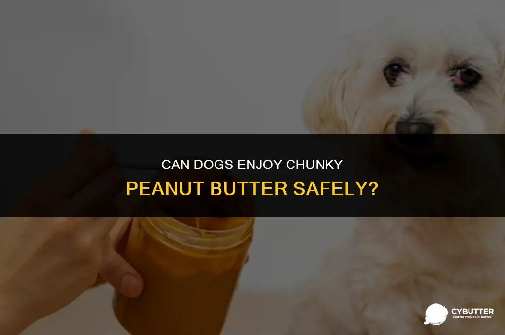 is chunky peanut butter ok for dogs