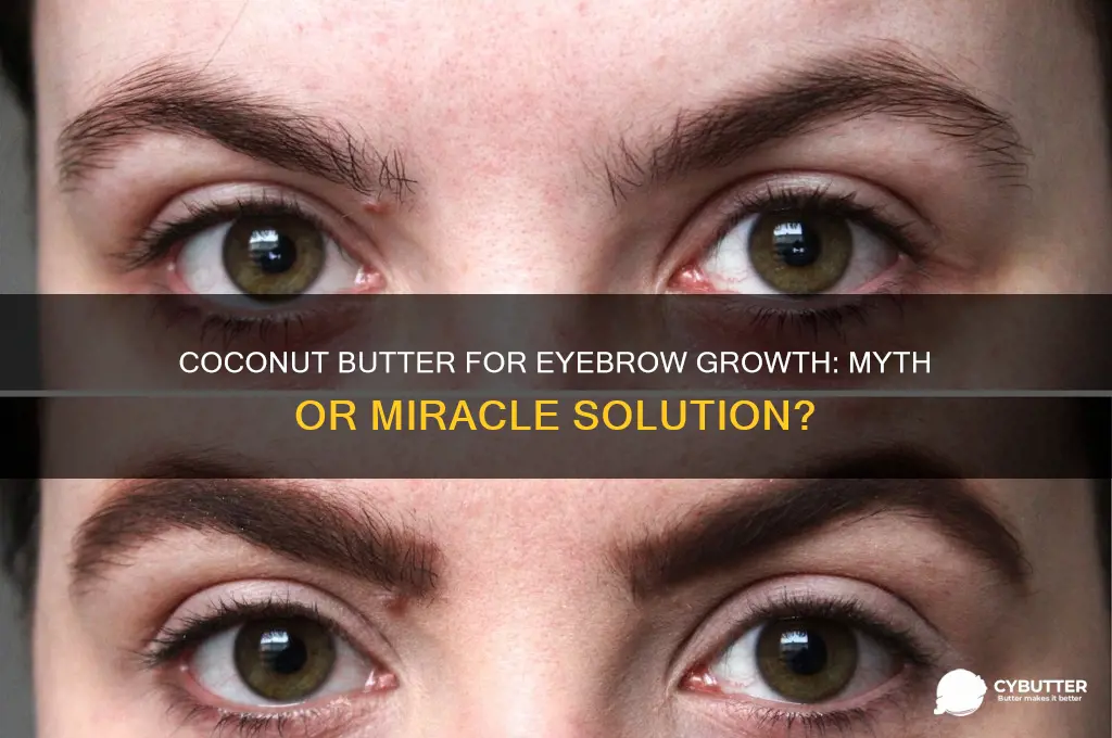 is cocnut butter good for eyebrow growth