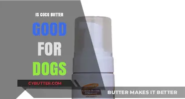 Is Cocoa Butter Safe for Dogs? Benefits, Risks, and Alternatives