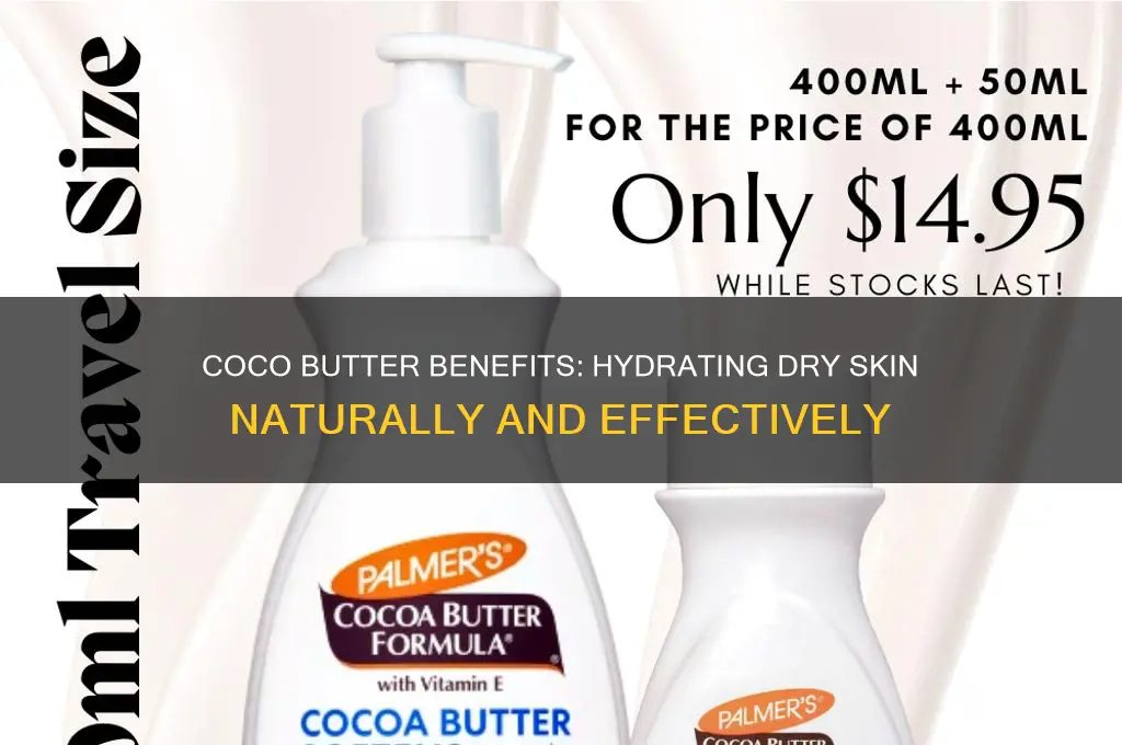 is coco butter good for dry skin