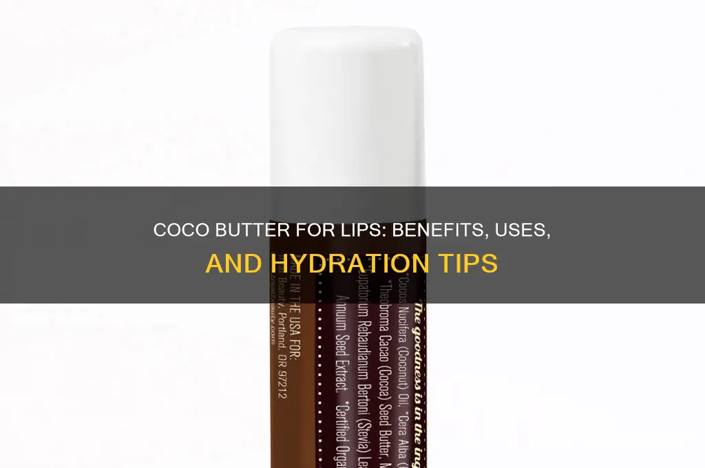 is coco butter good for lips