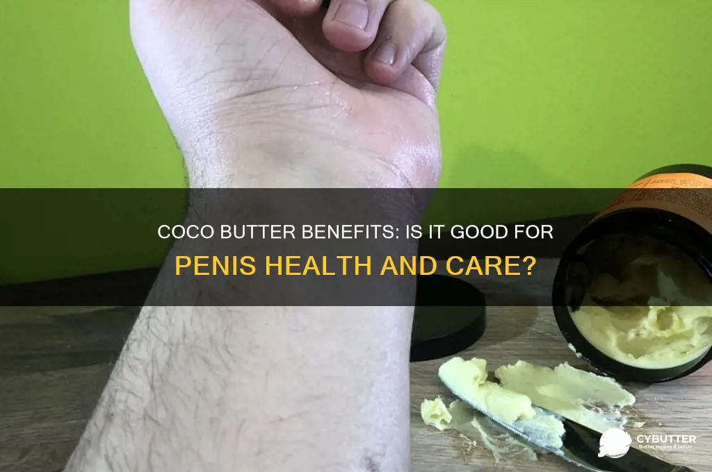 is coco butter good for penis