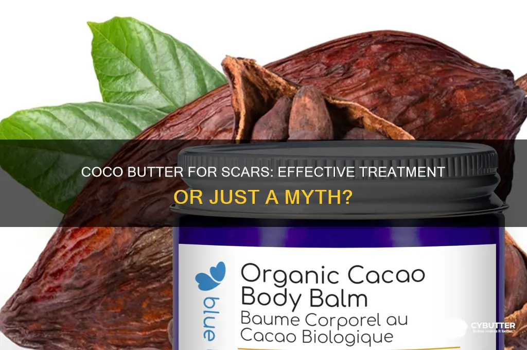 is coco butter good for scars